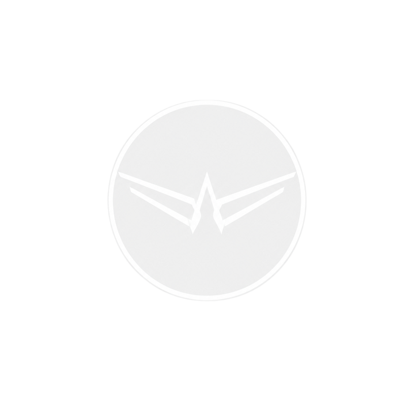 Jetlux — Private Aviation logo